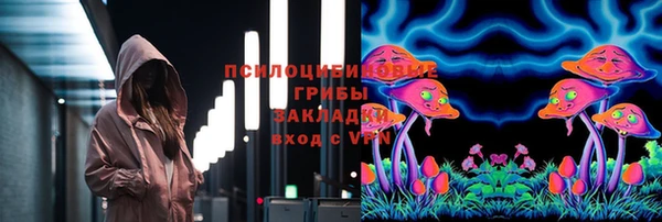 a pvp Белокуриха
