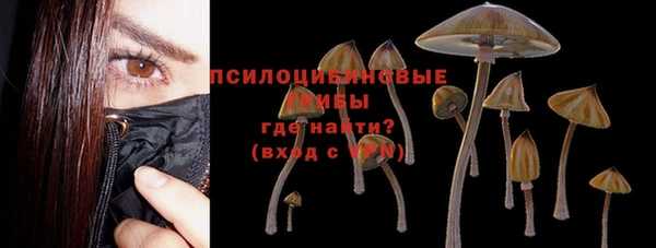 a pvp Белокуриха