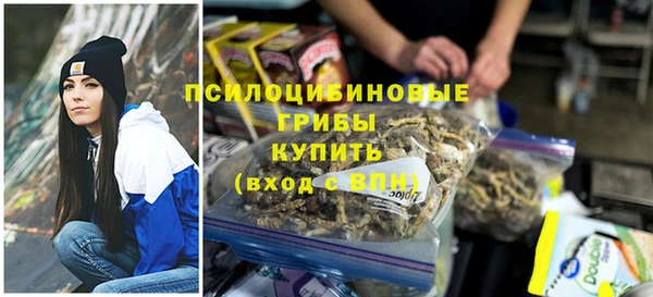 a pvp Белокуриха