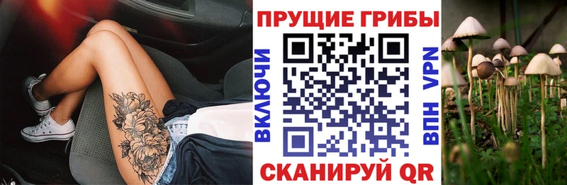 Галлюциногенные грибы Magic Shrooms  Бузулук 