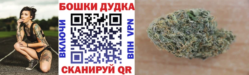 Бошки Шишки VHQ  Бузулук 